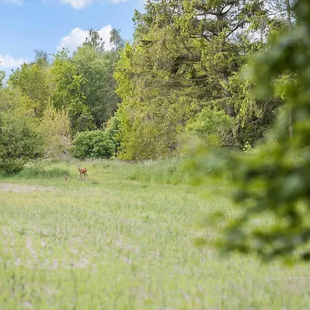 1497-aakirkeby-strandvejen-8 Holiday home